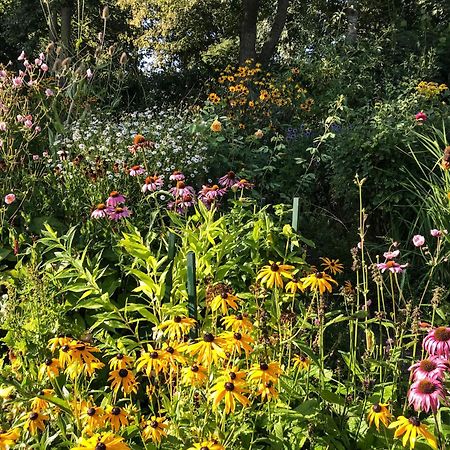 Gartenhaus Frieda Galmsbull Buitenkant foto