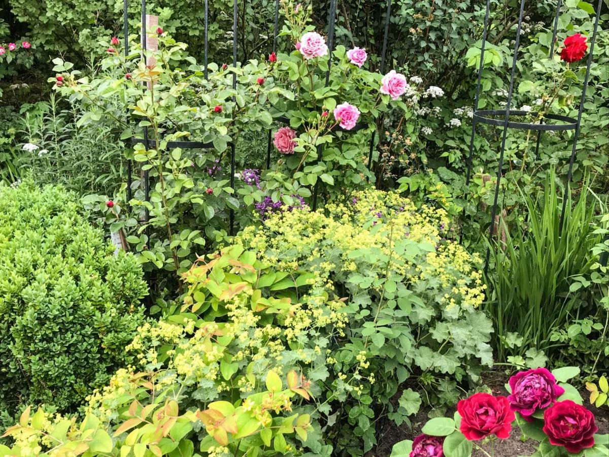 Gartenhaus Frieda Galmsbull Buitenkant foto